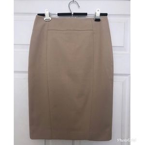 Ann Taylor Pencil Skirt